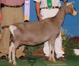 GCH Rowe's Landmark Susan